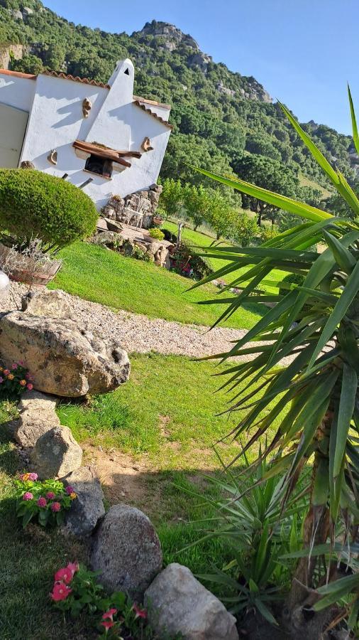 B&B La Chintina 산트 안토니오 디 갈루라 외부 사진